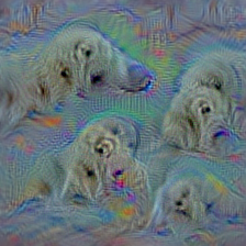 n02111277 Newfoundland, Newfoundland dog